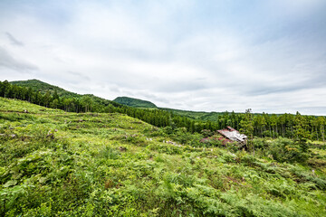 日本の高地の放棄され廃屋になった木造の建物