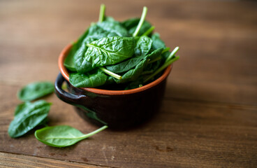 Fresh baby spinach leaves