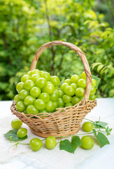 Green grape in Bamboo basket on wooden table in garden, Shine Muscat Grape with leaves in blur background