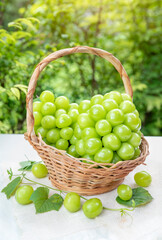 Green grape in Bamboo basket on wooden table in garden, Shine Muscat Grape with leaves in blur background
