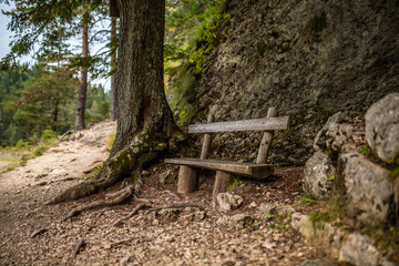 Wooden bench by the Path in the forest near Black Lake or Crno jezero on mount Durmitor near Zabljak city in northern Montenegro. Bench with picturesque view on lake.