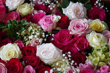 色とりどりの花