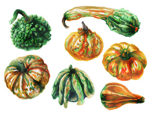 Autumn watercolor set of seven beautiful pumpkins isolated on a white background. Collection of autumn harvest of unusual pumpkins. Watercolor illustration.