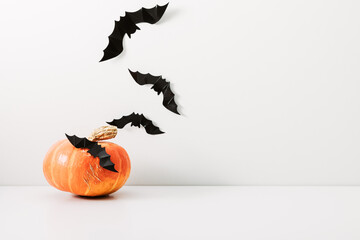 Halloween holiday concept. Photo frame, halloween decorations on white background. Front view, copy...