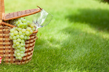Picnic basket with wine and grape