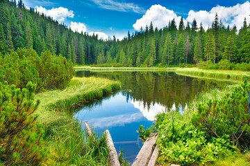 Wooden bridge in blue water at a forest lake with pine trees