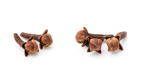 Spice cloves on white background