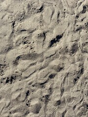 traces on sand