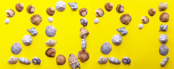 New Year. New Year 2021 Christmas card made of seashells. Creative greeting card for the holiday with fir branches. Year of yellow earthen pig. Light orange with christmas tree branches