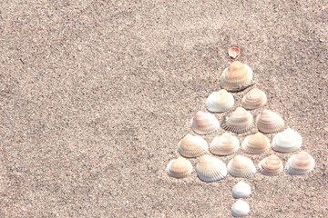 Fototapeta na wymiar Christmas tree made of shells on dry yellow sand. Southern Hemisphere New Year Concept