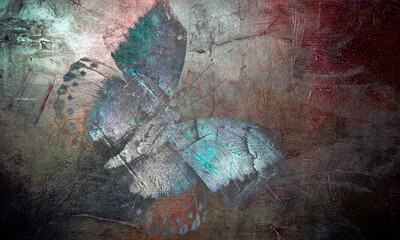 butterfly background texture 