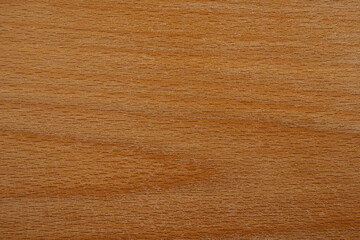 Treated wooden surface of hornbeam, structural pattern.