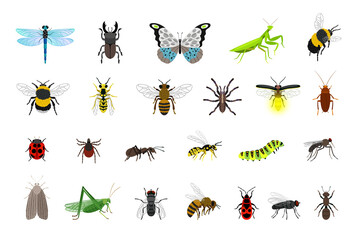Cute insects collection. Cartoon small colorful beetles and caterpillars, bugs and butterfly, vector illustration of creatures of science entomology isolated on white background