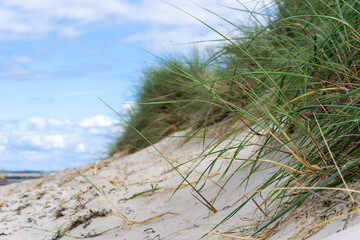 Blick entlang einer Sanddüne bewachsen mit Strandhafer
