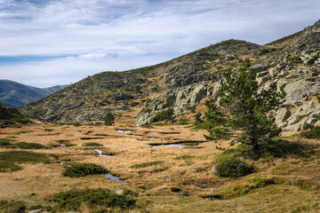 Rocky mountain landscape on Guadarrama mountain range with a pine and small ponds, Peñalara, Madrid, Spain