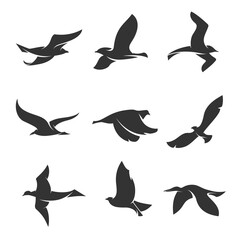 Fototapeta premium set of silhouettes of birds in motion on a white background 