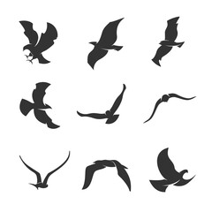 set of silhouettes of birds in motion on a white background 