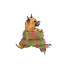 A small Spitz dog is wrapped in a scarf. Cute illustration isolated on white background. - 381368397