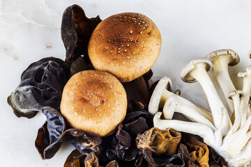 mushrooms of three types on white background