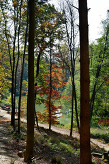 Austria, Autumn Impression