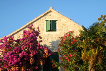 Fototapeta na wymiar Traditional Mediterranean house and beautiful garden in Split, Croatia.