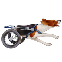 Cheerful dog in wheelchair. The hound is running. The illustration is isolated on a white background. - 381370377