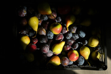 Autumn Harvest Of Fruit