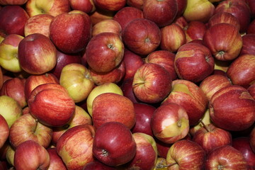 Äpfel, formatfüllend