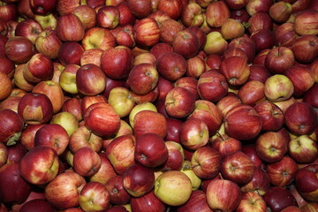 Apfel formatfüllend