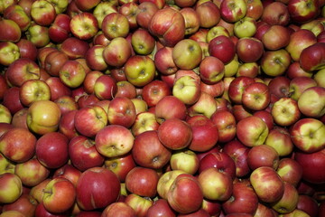 Apfel formatfüllend