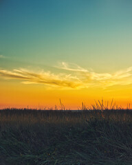 golden sunset above the dune grass at the baltic sea