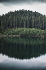 Fototapeta na wymiar Reflection of evergreen pine tree in a lake. Bucegi mountains,Romania