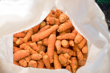 harvest of carrots. carrots in a bag. Healthy diet. country life