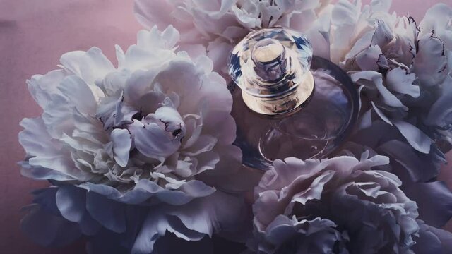 Purple perfume bottle with peony flowers, chic fragrance scent as luxury cosmetic, fashion and beauty product background, stock footage