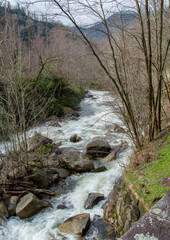 Flooding Appalachian Creek 