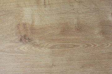 Light wooden material surface table