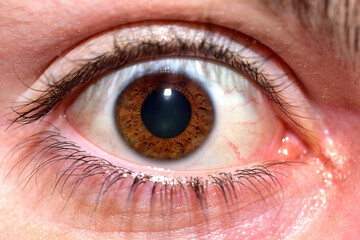 Macro detail of human female eye with brown pupil