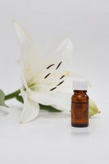 Lily (Lilium candidum) essential oil bottle on Lilium fresh flower background, isolated white