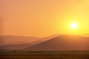 Birds (Common crane) against the background of the mountains in the evening. The Hula Valley in northern Israel at sunset. Artistic gradient color