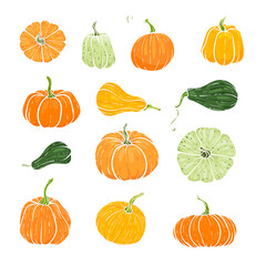 Set of decorative orange and green pumpkins. Hand drawn sketch vector autumn illustration. Thanksgiving Day, halloween Holiday background. Harvest