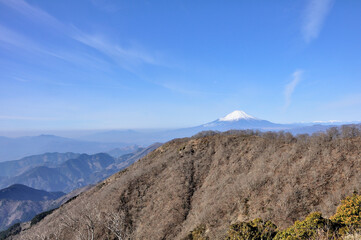 丹沢 大倉尾根から眺める雪化粧の富士山 コピースペース
