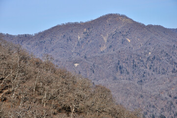 冬の丹沢山地 大倉尾根より檜洞丸を望む