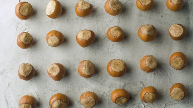 Top view hazelnuts in shells lie in even rows on white background. Close up, camera slowly moving on the slider, dolly shot