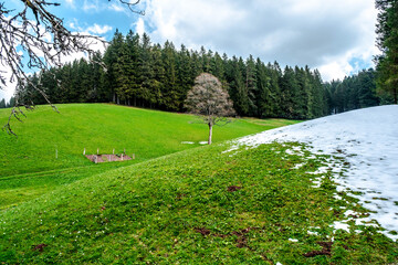 Snow recedes in early May in the Black Forest, Germany