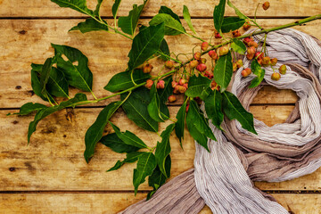 Soft scarf and a branch with berries
