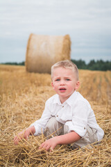 Naklejka na ściany i meble Handsome little boy in white shirt is photographed in a wheat field