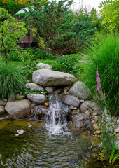 The famous lotus garden in the Franconian town of Rothenburg ob der Tauber