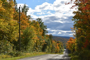 The maple road at Lac Carré, Sainte-Apolline