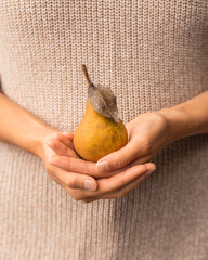 A yellow pear in the women’s hands on the background of a beige sweater. Trendy autumn concept in pastel colors. Autumn mood.