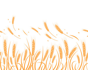 Vector silhouette of wheat. Silhouette. Wheat in the field on a white background